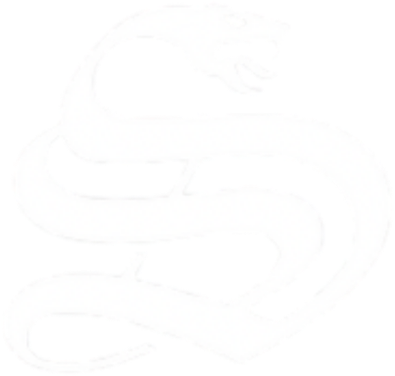 SPLATVIK
